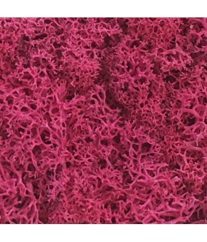 Mousse pour enseigne (fuchsia) 250gr